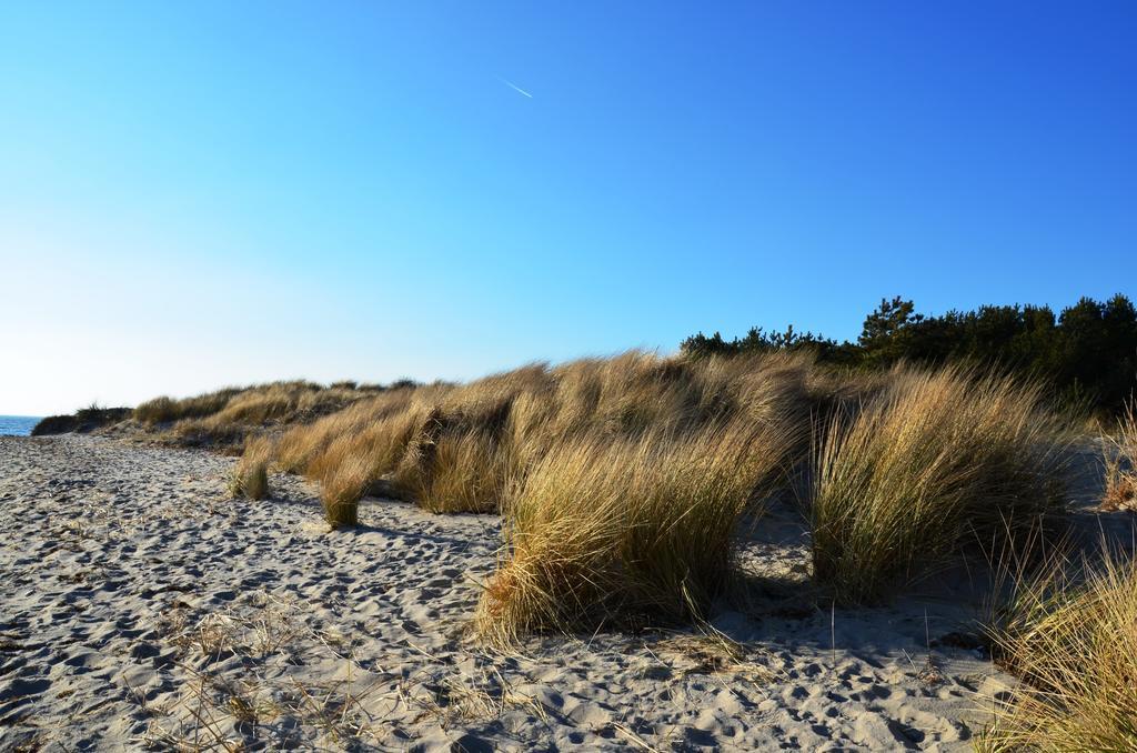 Strandapartment-Mondfisch An Der Ostsee Thiessow Pokoj fotografie